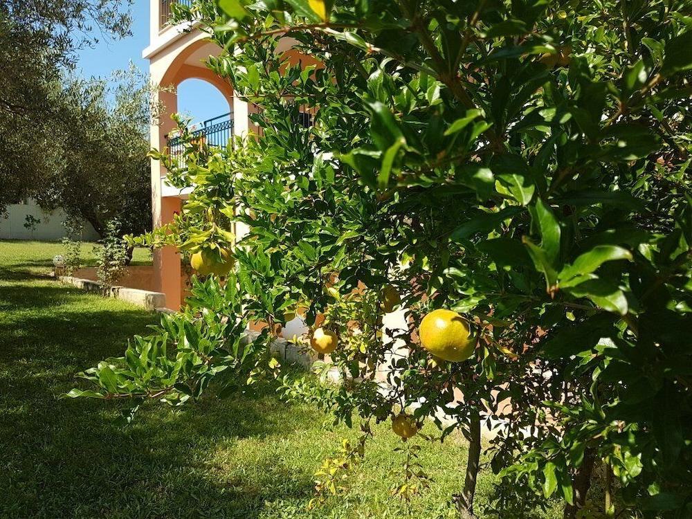 Aloni Hotel Pefkochori Exterior photo